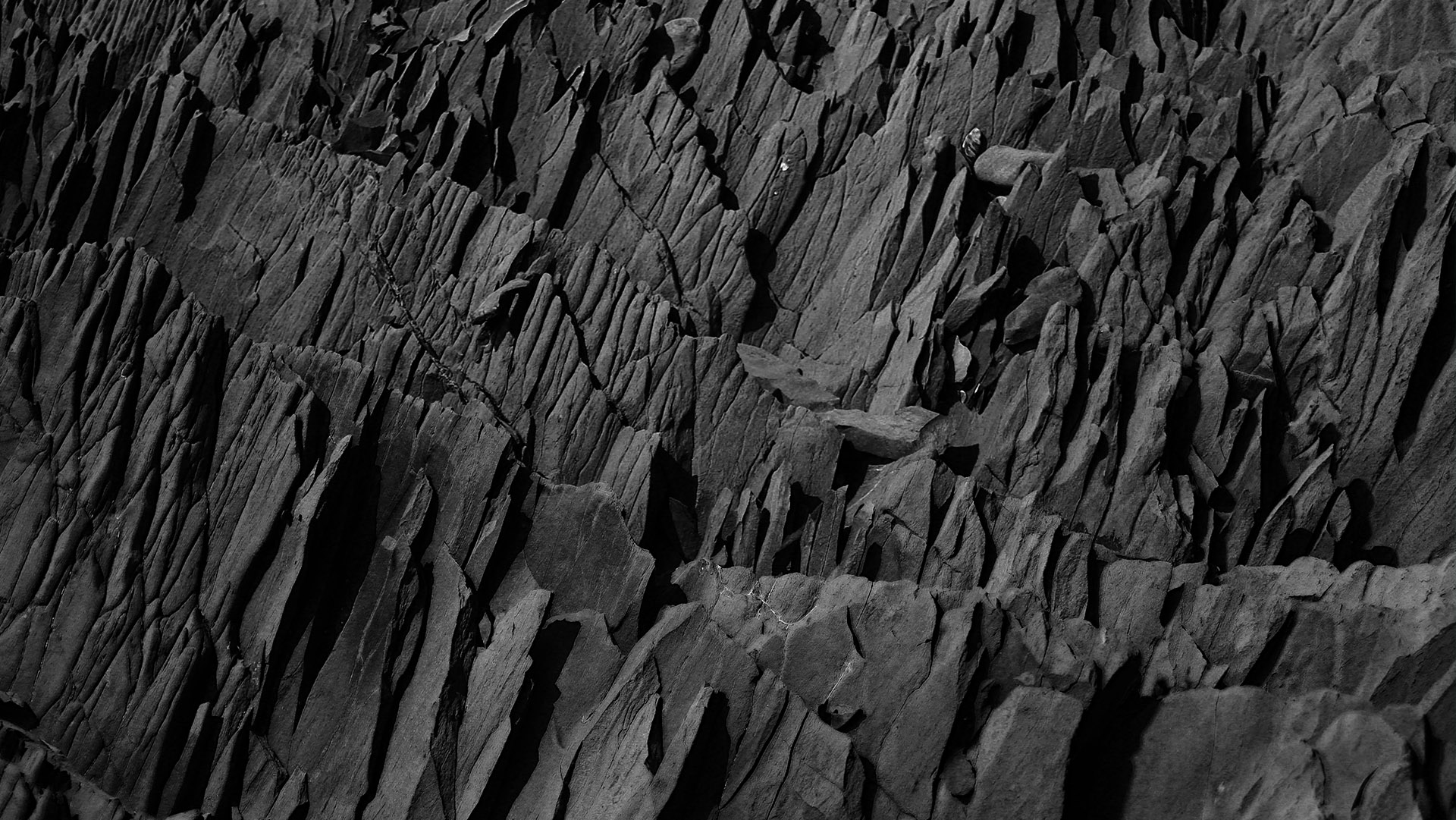 Portfolio Thumbnail Image